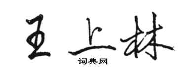 駱恆光王上林行書個性簽名怎么寫