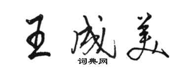 駱恆光王成美行書個性簽名怎么寫