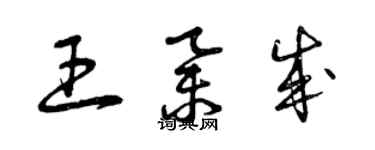 曾慶福王舉成草書個性簽名怎么寫