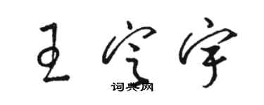 駱恆光王定宇草書個性簽名怎么寫