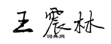 曾慶福王震林行書個性簽名怎么寫