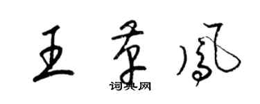 梁錦英王革鳳草書個性簽名怎么寫