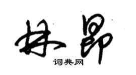 朱錫榮林昂草書個性簽名怎么寫