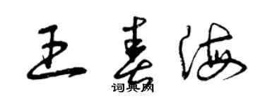 曾慶福王春海草書個性簽名怎么寫