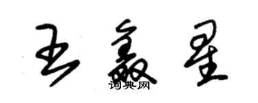 朱錫榮王鑫星草書個性簽名怎么寫