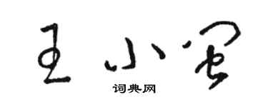 駱恆光王小閩草書個性簽名怎么寫