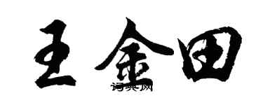 胡問遂王金田行書個性簽名怎么寫