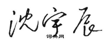 駱恆光沈宇辰草書個性簽名怎么寫