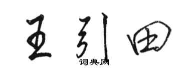 駱恆光王引田行書個性簽名怎么寫