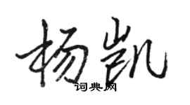 駱恆光楊凱行書個性簽名怎么寫