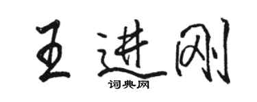 駱恆光王進剛行書個性簽名怎么寫
