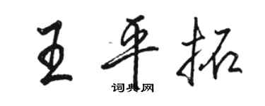 駱恆光王平拓行書個性簽名怎么寫