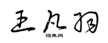 曾慶福王凡羽草書個性簽名怎么寫