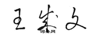 駱恆光王成文草書個性簽名怎么寫