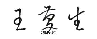 駱恆光王慶生草書個性簽名怎么寫