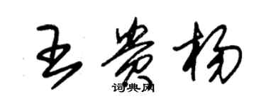 朱錫榮王貴楊草書個性簽名怎么寫