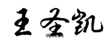 胡問遂王聖凱行書個性簽名怎么寫