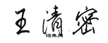 駱恆光王清密行書個性簽名怎么寫