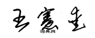 朱錫榮王憲愛草書個性簽名怎么寫