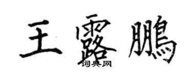 何伯昌王露鵬楷書個性簽名怎么寫