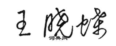 駱恆光王曉蝶草書個性簽名怎么寫
