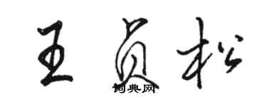 駱恆光王貞松行書個性簽名怎么寫