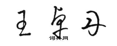 駱恆光王卓丹草書個性簽名怎么寫