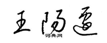 梁錦英王陽遷草書個性簽名怎么寫