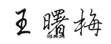 駱恆光王曙梅行書個性簽名怎么寫