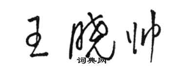 駱恆光王曉帥草書個性簽名怎么寫