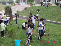 3月12日植樹節 植樹節作文專題
