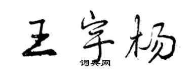 曾慶福王宇楊行書個性簽名怎么寫