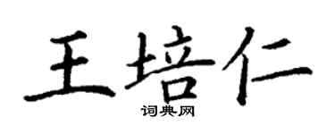 丁謙王培仁楷書個性簽名怎么寫