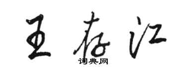 駱恆光王存江行書個性簽名怎么寫