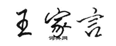 駱恆光王家言行書個性簽名怎么寫