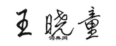 駱恆光王曉童行書個性簽名怎么寫