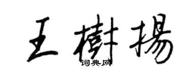 王正良王樹揚行書個性簽名怎么寫