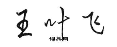 駱恆光王葉飛行書個性簽名怎么寫