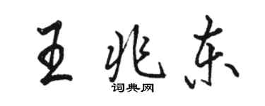 駱恆光王兆東行書個性簽名怎么寫