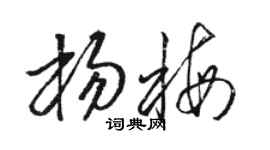 駱恆光楊梅草書個性簽名怎么寫