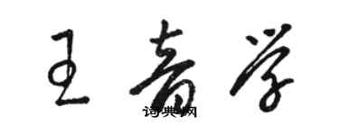 駱恆光王音學草書個性簽名怎么寫