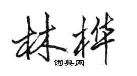 駱恆光林樺行書個性簽名怎么寫
