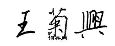 王正良王菊興行書個性簽名怎么寫