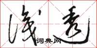 駱恆光識透草書怎么寫