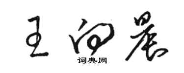 駱恆光王向晨草書個性簽名怎么寫