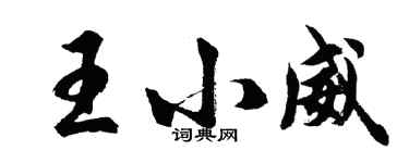 胡問遂王小威行書個性簽名怎么寫