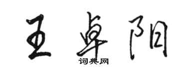 駱恆光王卓陽行書個性簽名怎么寫