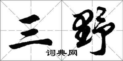 胡問遂三野行書怎么寫