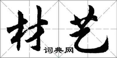 胡問遂材藝行書怎么寫