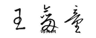 駱恆光王劍童草書個性簽名怎么寫